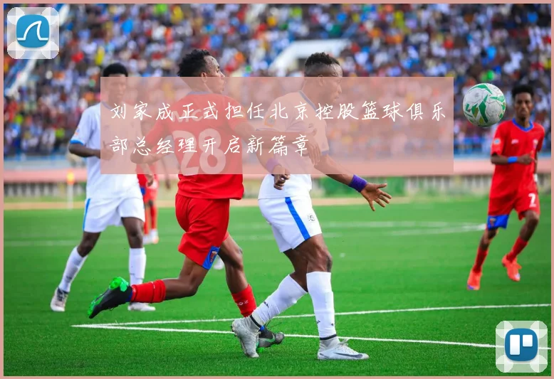 刘家成正式担任北京控股篮球俱乐部总经理开启新篇章