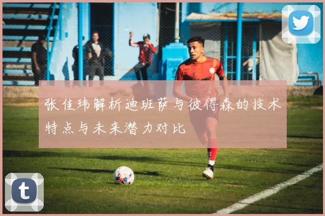 张佳玮解析迪班萨与彼得森的技术特点与未来潜力对比