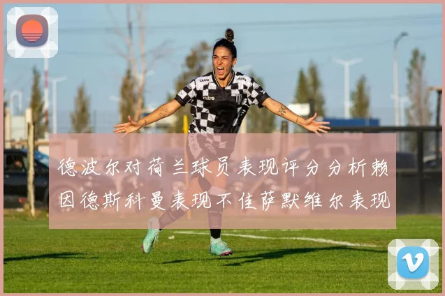 德波尔对荷兰球员表现评分分析赖因德斯科曼表现不佳萨默维尔表现出色