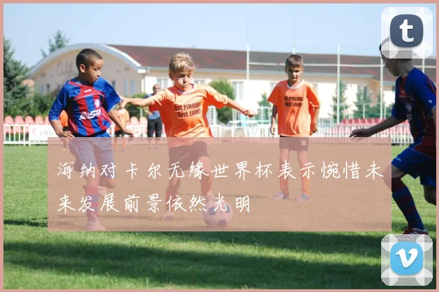 海纳对卡尔无缘世界杯表示惋惜未来发展前景依然光明
